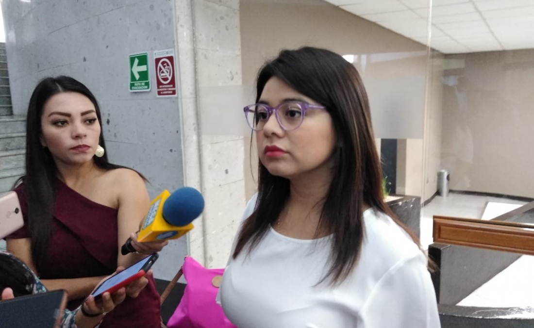 Los Editores - Reconoce diputada federal de Morena que programas contra  violencia hacia las mujeres no funcionan